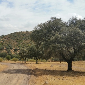 Fotografía de DASE1000