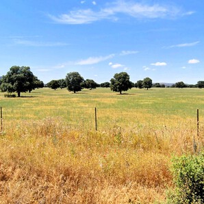 Fotografía de MXCMTO800