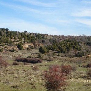 Fotografía de MXCLSE480