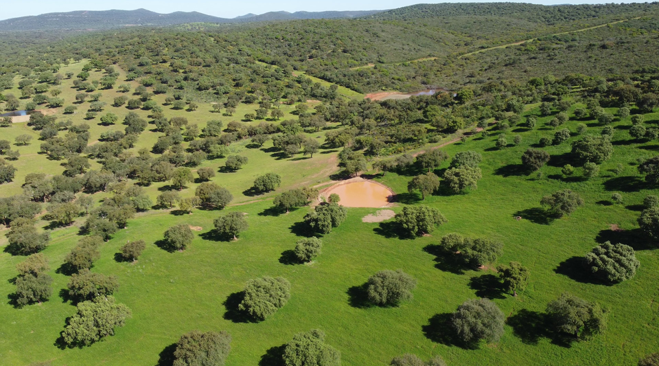 finca de caza
